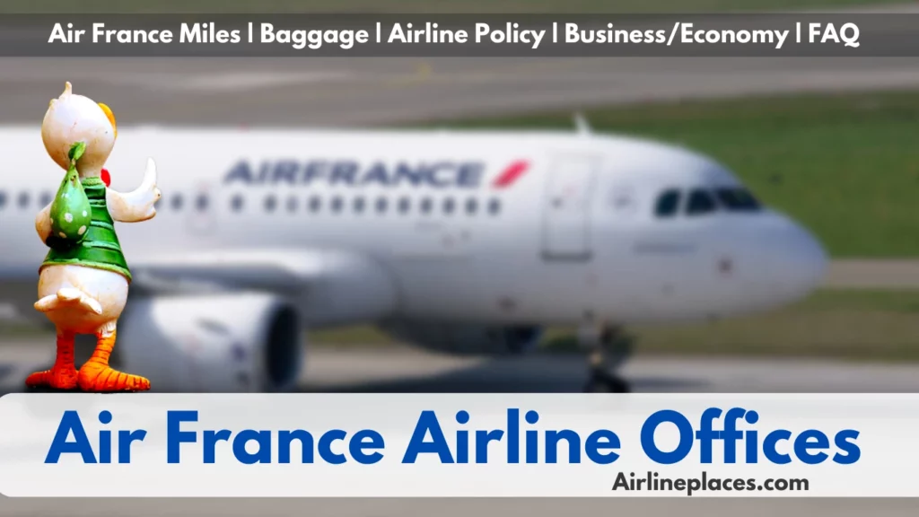 About Air France Airlines Baggage Flying Blue Policies and FAQ