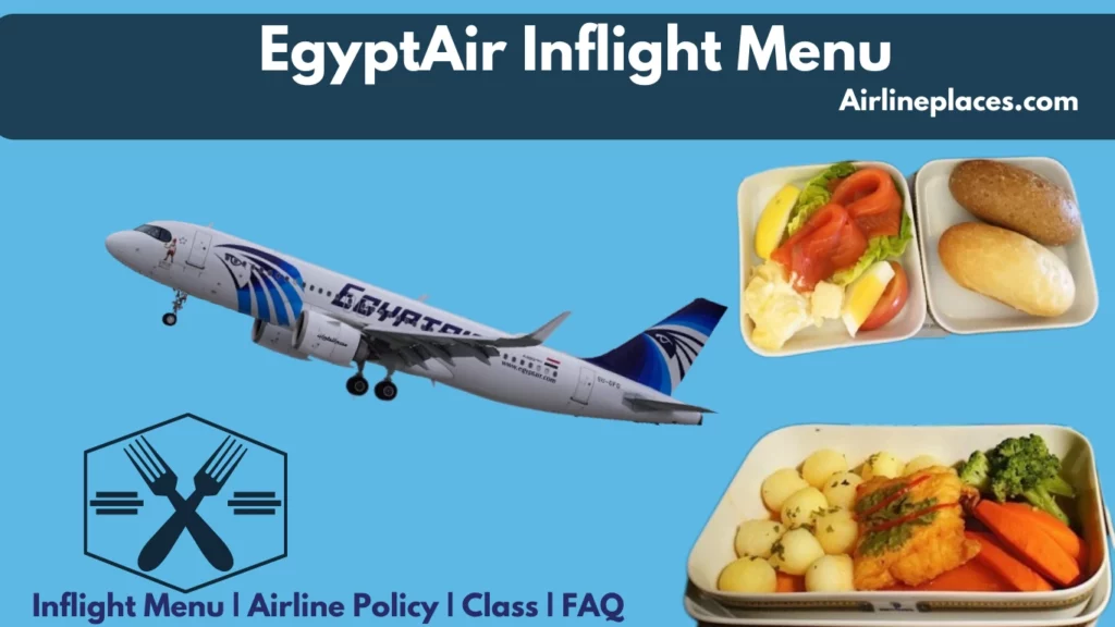 Inflight Menu EgyptAir Onboard Meals Menu Options - Dietary Special Meals 